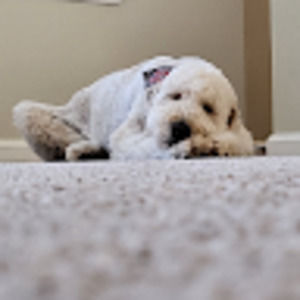 Meet your Posher, Yamato